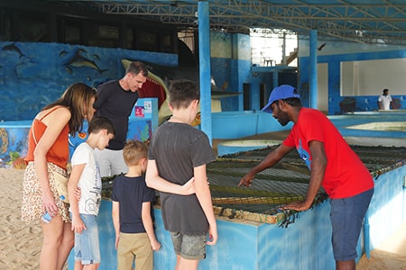 bambini a centro di conservazione delle tartarughe marini a Ahungalle