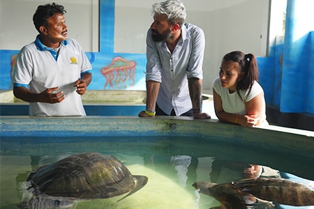visita guidata al centro di conservazione delle tartarughe marine