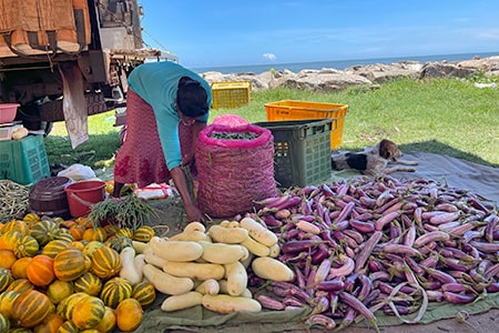 mercato frutta e verdura